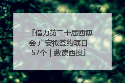 借力第二十届西博会 广安拟签约项目57个｜数读西投
