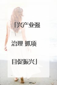 兴产业强治理 抓项目促振兴