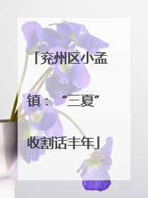 兖州区小孟镇：“三夏”收割话丰年