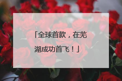 全球首款，在芜湖成功首飞！