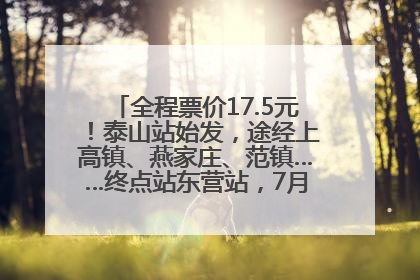 全程票价17.5元！泰山站始发，途经上高镇、燕家庄、范镇……终点站东营站，7月1日开通！