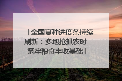 全国夏种进度条持续刷新：多地抢抓农时 筑牢粮食丰收基础