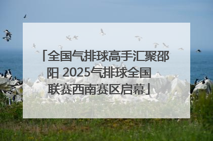 全国气排球高手汇聚邵阳 2025气排球全国联赛西南赛区启幕