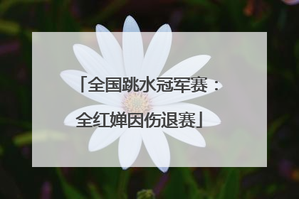 全国跳水冠军赛：全红婵因伤退赛