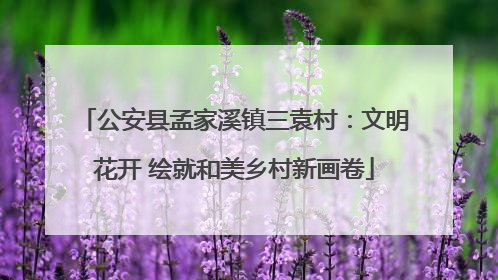 公安县孟家溪镇三袁村：文明花开 绘就和美乡村新画卷