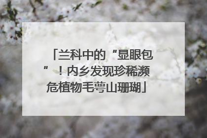 兰科中的“显眼包”！内乡发现珍稀濒危植物毛萼山珊瑚