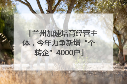 兰州加速培育经营主体，今年力争新增“个转企”4000户