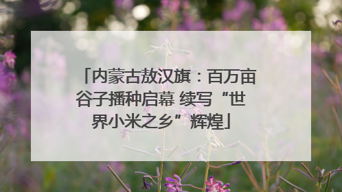 内蒙古敖汉旗：百万亩谷子播种启幕 续写“世界小米之乡”辉煌