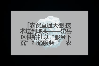 农资直通大棚 技术送到地头——岱岳区供销社以“服务下沉”打通服务“三农”最后一公里