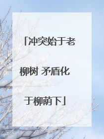 冲突始于老柳树 矛盾化于柳荫下
