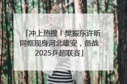 冲上热搜！樊振东许昕同框现身河北雄安，备战2025乒超联赛