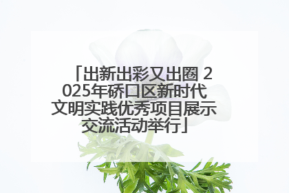 出新出彩又出圈 2025年硚口区新时代文明实践优秀项目展示交流活动举行