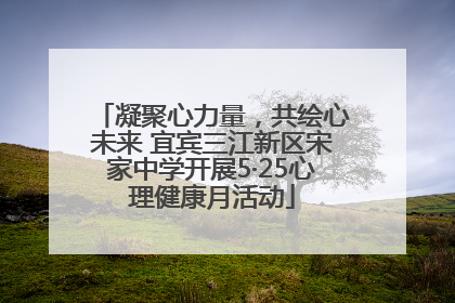 凝聚心力量，共绘心未来 宜宾三江新区宋家中学开展5·25心理健康月活动