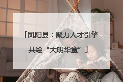凤阳县：聚力人才引擎 共绘“大明华章”