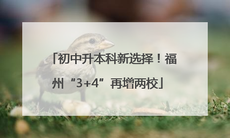 初中升本科新选择！福州“3+4”再增两校