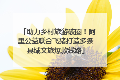 助力乡村旅游破圈！阿里公益联合飞猪打造多条县域文旅爆款线路