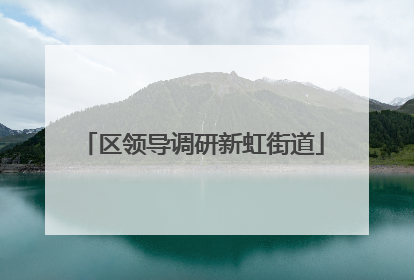 区领导调研新虹街道