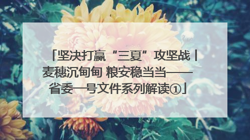 坚决打赢“三夏”攻坚战丨麦穗沉甸甸 粮安稳当当——省委一号文件系列解读①