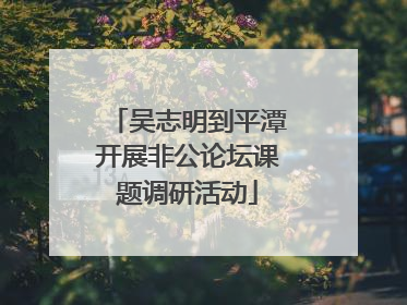 吴志明到平潭开展非公论坛课题调研活动