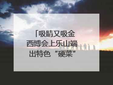 吸睛又吸金 西博会上乐山端出特色“硬菜”｜西博视界