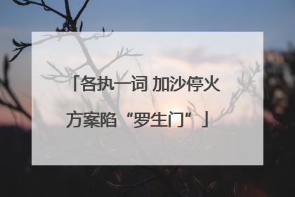 各执一词 加沙停火方案陷“罗生门”