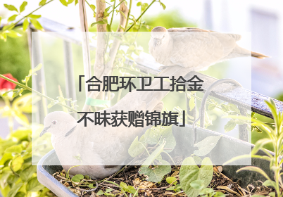 合肥环卫工拾金不昧获赠锦旗