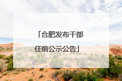 合肥发布干部任前公示公告