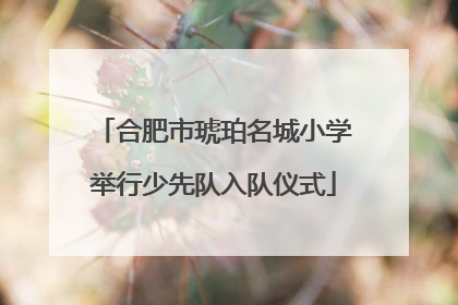 合肥市琥珀名城小学举行少先队入队仪式