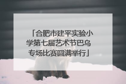 合肥市建平实验小学第七届艺术节巴乌专场比赛圆满举行