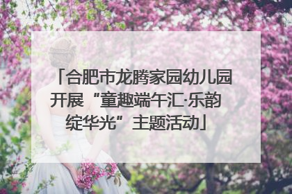 合肥市龙腾家园幼儿园开展“童趣端午汇·乐韵绽华光”主题活动