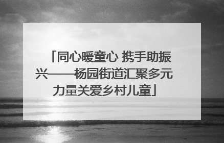 同心暖童心 携手助振兴——杨园街道汇聚多元力量关爱乡村儿童