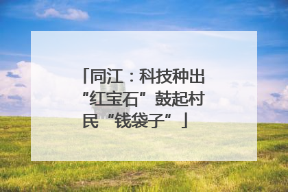 同江：科技种出“红宝石”鼓起村民“钱袋子”