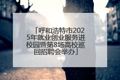 呼和浩特市2025年就业创业服务进校园暨第8场高校巡回招聘会举办