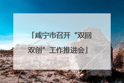 咸宁市召开“双回双创”工作推进会