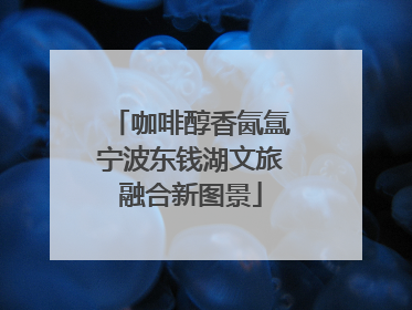咖啡醇香氤氲宁波东钱湖文旅融合新图景