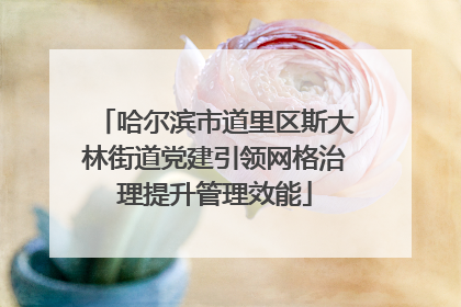 哈尔滨市道里区斯大林街道党建引领网格治理提升管理效能