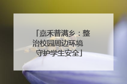 嘉禾普满乡：整治校园周边环境 守护学生安全