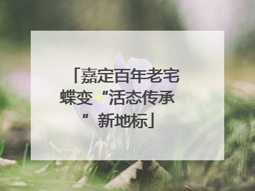 嘉定百年老宅蝶变“活态传承”新地标