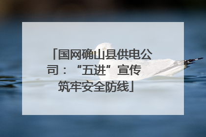 国网确山县供电公司：“五进”宣传 筑牢安全防线