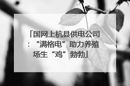 国网上杭县供电公司：“满格电”助力养殖场生“鸡”勃勃