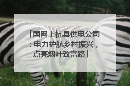 国网上杭县供电公司：电力护航乡村振兴，点亮烟叶致富路