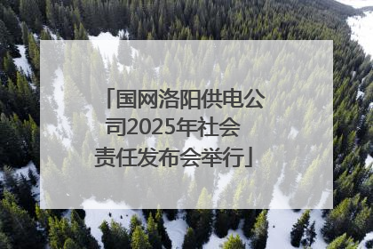 国网洛阳供电公司2025年社会责任发布会举行