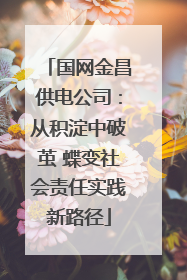 国网金昌供电公司：从积淀中破茧 蝶变社会责任实践新路径