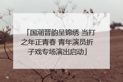 国潮晋韵呈锦绣 当打之年正青春 青年演员折子戏专场演出启动