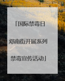 国际禁毒日 邓南街开展系列禁毒宣传活动