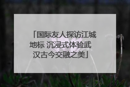 国际友人探访江城地标 沉浸式体验武汉古今交融之美