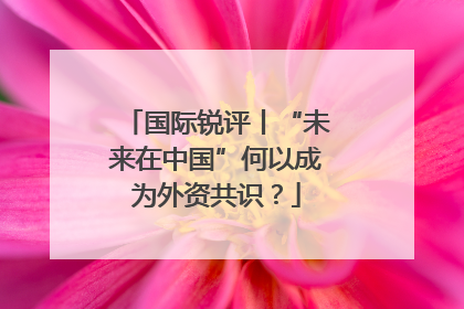 国际锐评丨“未来在中国”何以成为外资共识？