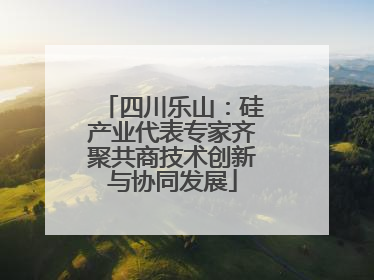 四川乐山：硅产业代表专家齐聚共商技术创新与协同发展