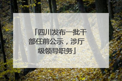 四川发布一批干部任前公示，涉厅级领导职务