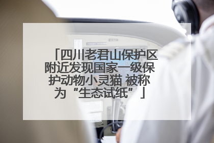 四川老君山保护区附近发现国家一级保护动物小灵猫 被称为“生态试纸”